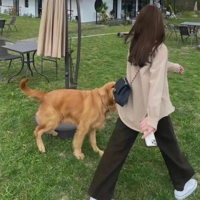 三线轮洄